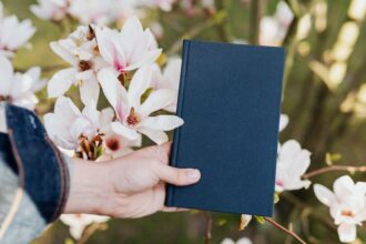 Enhance Your Education: Free iPad For College Students